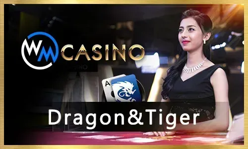 777plus online gaming platform interface